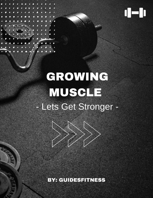 Building Muscle Complete Guide (e-book)